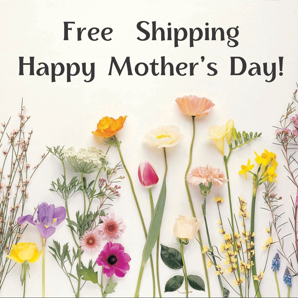 Free shipping today only.